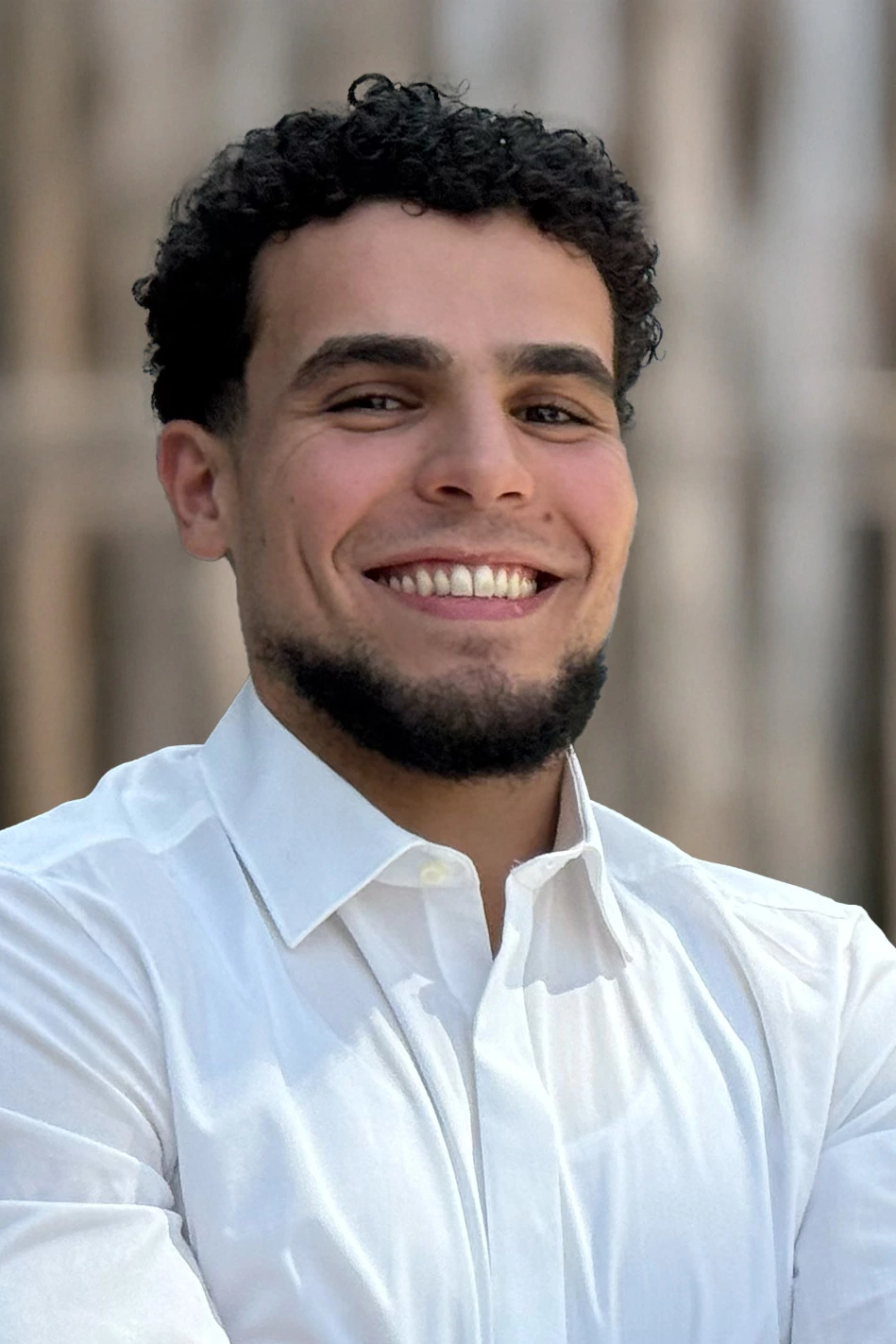 wordpress agentur spezialisten mounir hajaja